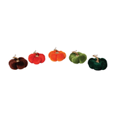 Pumpkins - 5 Assorted - Green and Orange