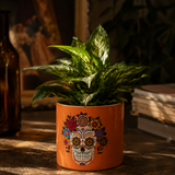 Sugar Skull Planters (Set of 3)