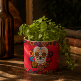 Sugar Skull Planters (Set of 3)