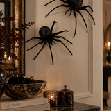 Spiders (Set of 2)