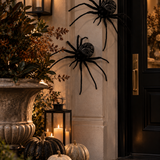 Spiders (Set of 2)