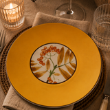 Harvest Plate in Gift Box, Set of 4 Assorted Colors