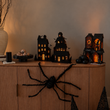 Lit Spider / Cat House - 2 Assorted