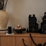 Furry Spider (Set of 5)