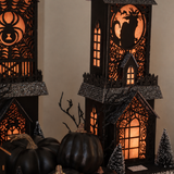 Lit Spider / Cat House - 2 Assorted