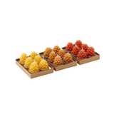 Pinecone Tealight Candles in Gift Box - Set of 6 in 3 Assorted Colors
