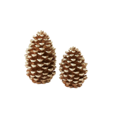 Pinecone - Set of 2