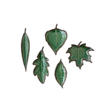 Green Leaf Dishes, Set of 5 Assorted