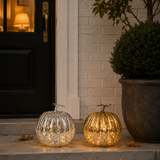 Lit Glass Pumpkin with Stem (Set of 2)